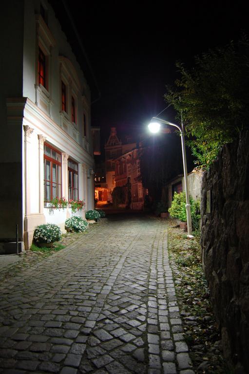 Villa-panter